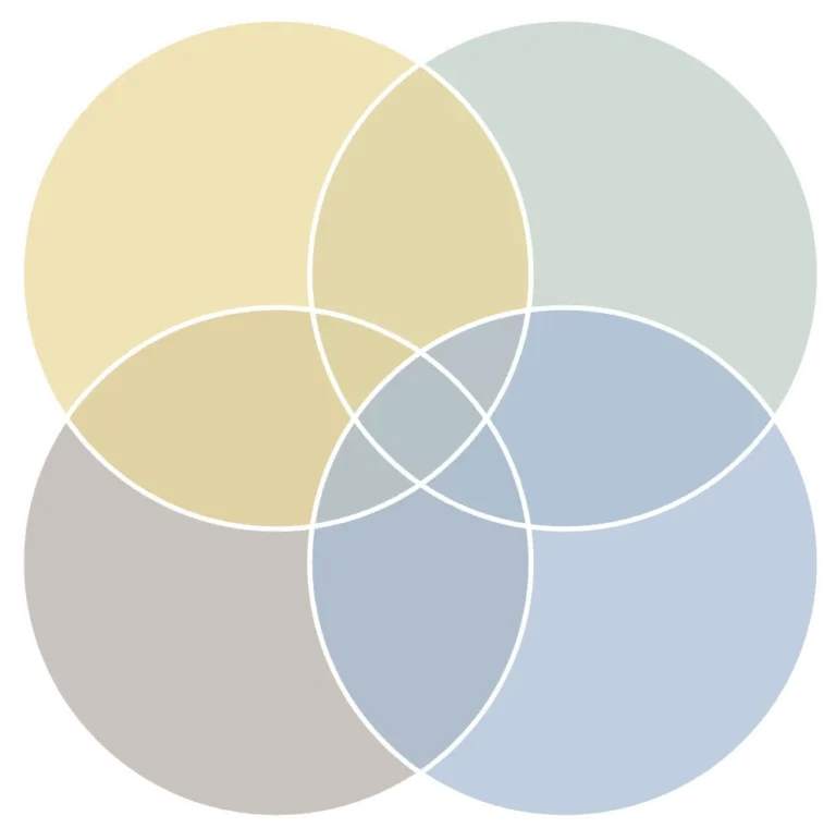 A Venn diagram showing four overlapping circles